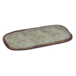 Bandeja presentacion...